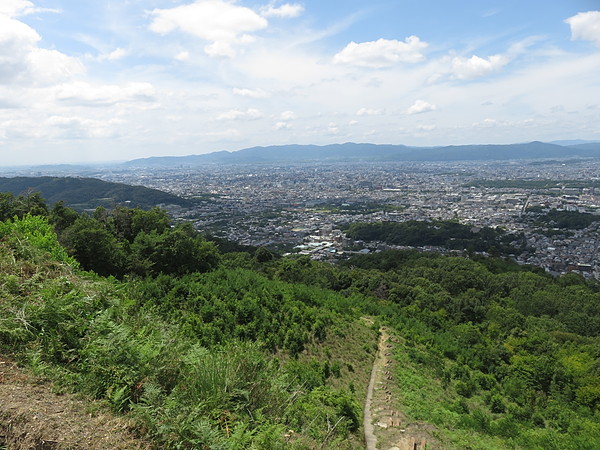 今日のむしむし260810-大文字山