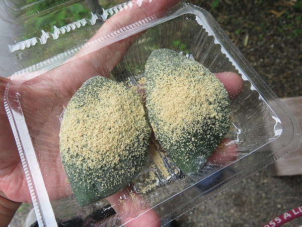 今日のむしむし261004-善峰道